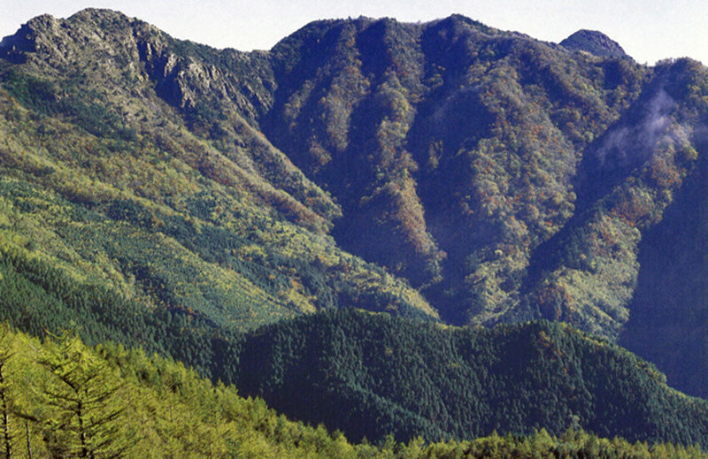 赤石山とは