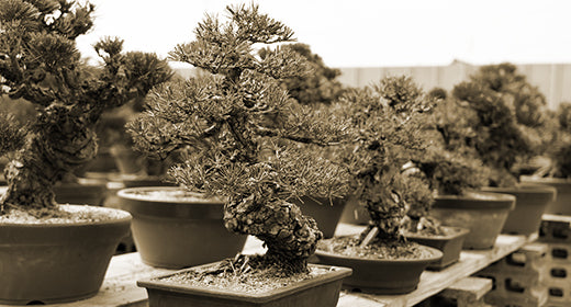 ネット通販について