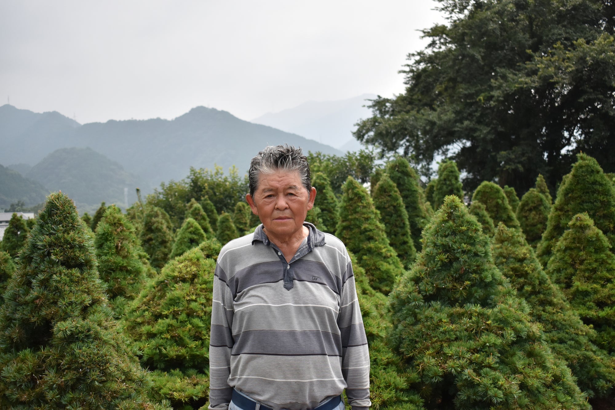 本田園 本田喜彦