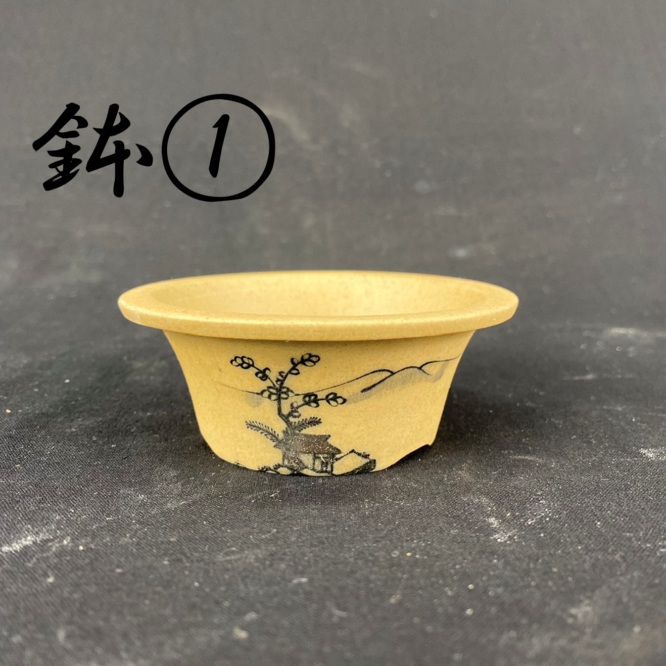 Bowl (set of 5) (013)