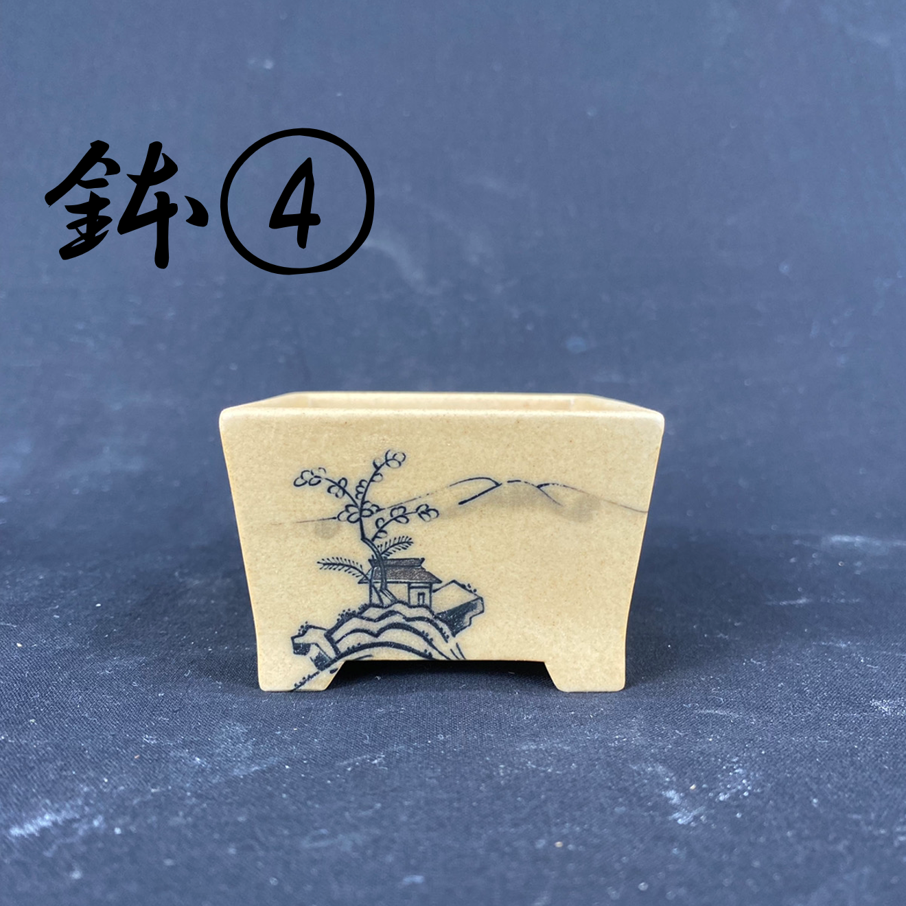 Bowl (set of 5) (013)
