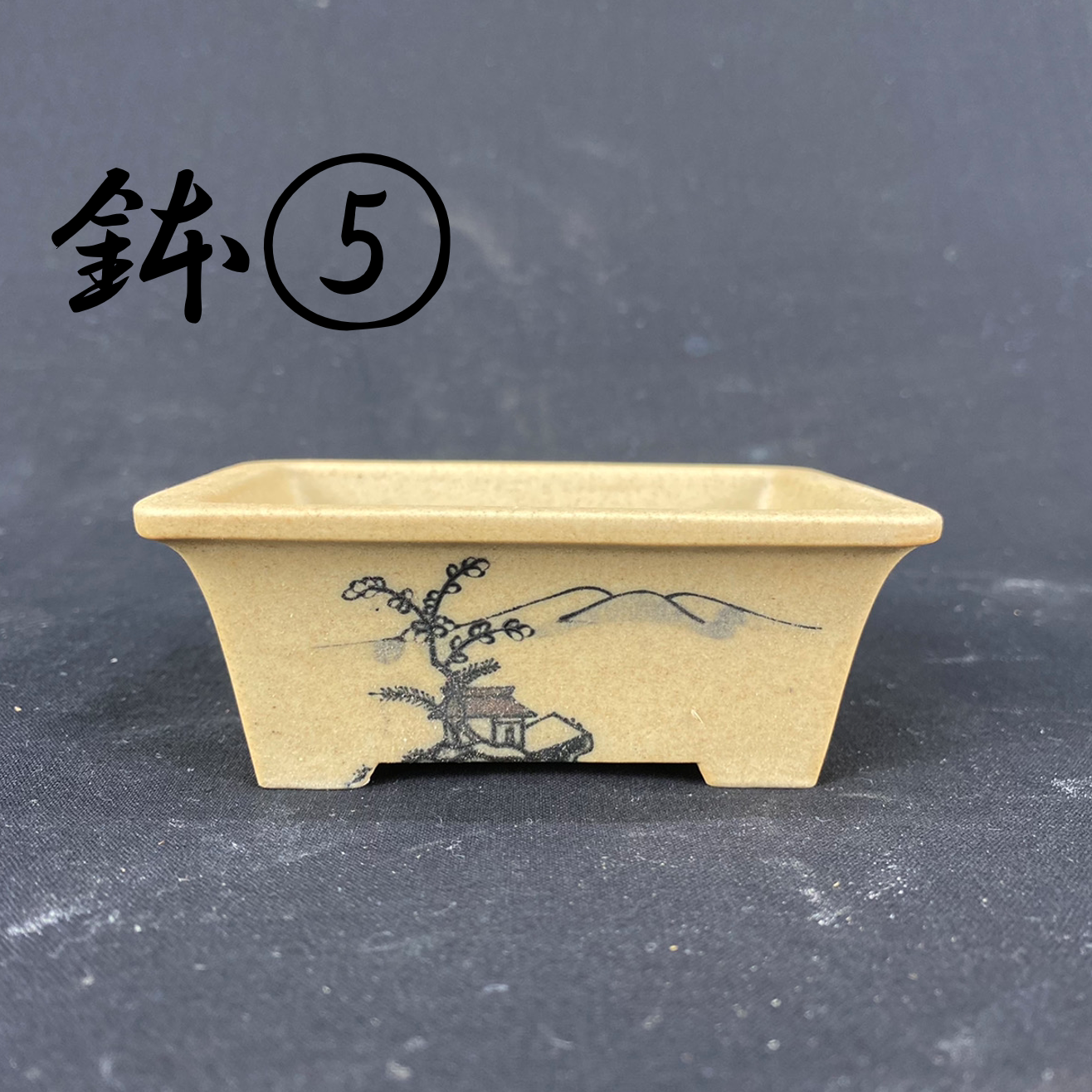 Bowl (set of 5) (013)